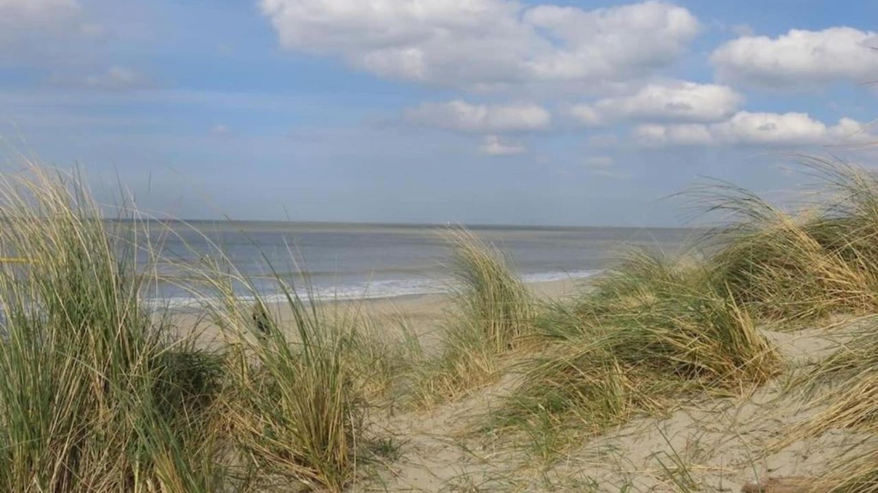 AreaSummer20KM AreaSummer20KM